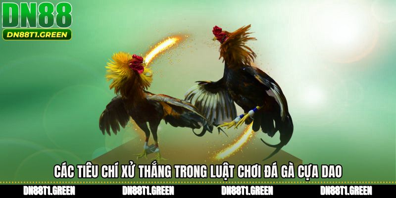 Các tiêu chí xử thắng trong Luật chơi đá gà cựa dao