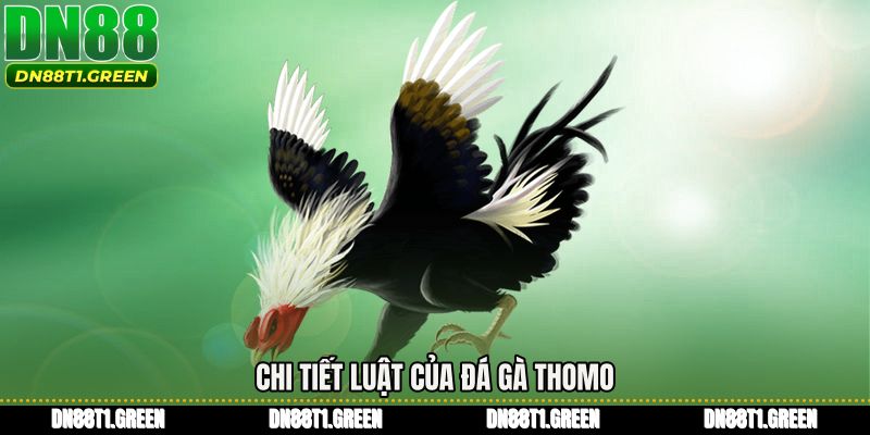 Chi tiết luật của Đá gà thomo