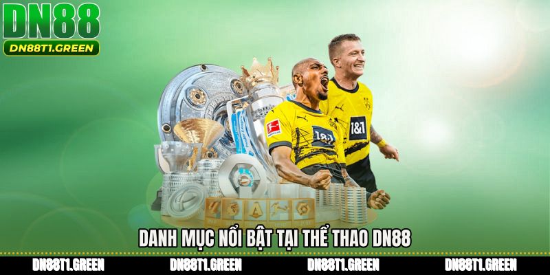 Danh mục nổi bật tại Thể thao DN88