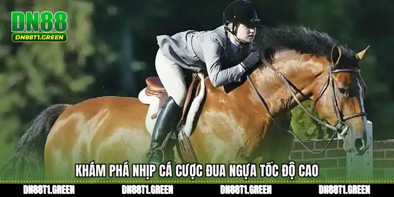Khám phá nhịp cá cược đua ngựa tốc độ cao