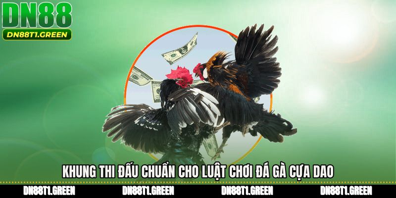 Khung thi đấu chuẩn cho Luật chơi đá gà cựa dao