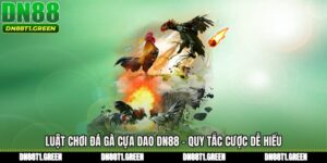 Luật Chơi Đá Gà Cựa Dao DN88 - Quy Tắc Cược Dễ Hiểu