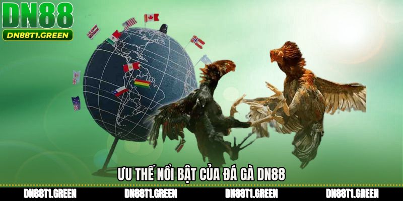 Ưu thế nổi bật của Đá gà DN88